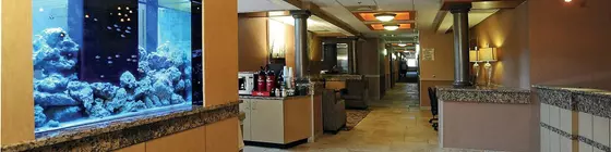 La Quinta Inn Springfield South | Missouri - Springfield (ve civarı) - Springfield