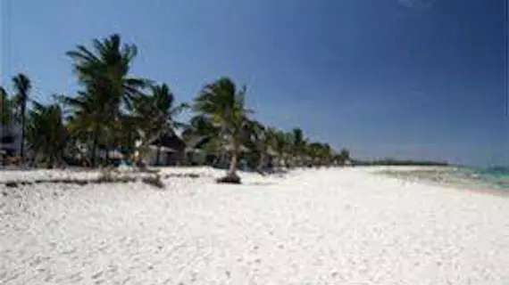 Indian Ocean Beach Resort | Kwale İlçesi - Mombasa (ve civarı) - Diani Plajı