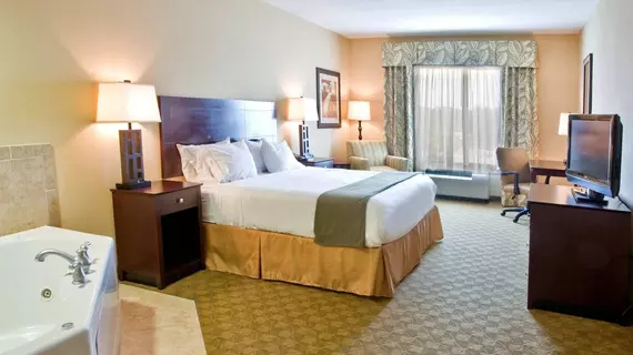 Holiday Inn Express Hotel & Suites Tampa -USF-Busch Gardens | Florida - Tampa (ve civarı) - Tampa