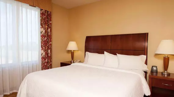 Hilton Garden Inn Indianapolis Airport | Indiana - Indianapolis (ve civarı) - Indianapolis