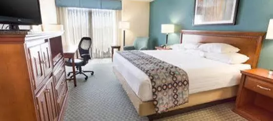 Drury Inn & Suites Birmingham Southwest | Alabama - Birmingham (ve civarı) - Homewood