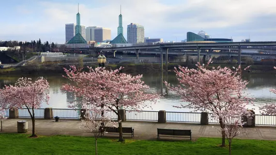 Residence Inn by Marriott Portland North Vancouver | Washington - Vancouver (ve civarı) - Vancouver