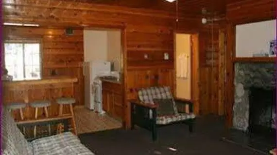 Honey Bear Lodge & Cabins | Kaliforniya - San Bernardino County - Big Bear Gölü (ve civarı) - Big Bear Lake