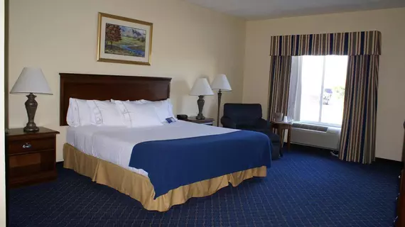 Holiday Inn Express Hotels & Suites Mountain Home | Arkansas - Mountain Home (ve civarı) - Mountain Home