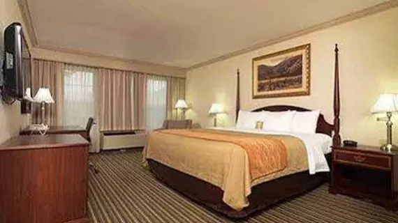 Comfort Inn Plainwell | Michigan - Kalamazoo (ve civarı) - Plainwell