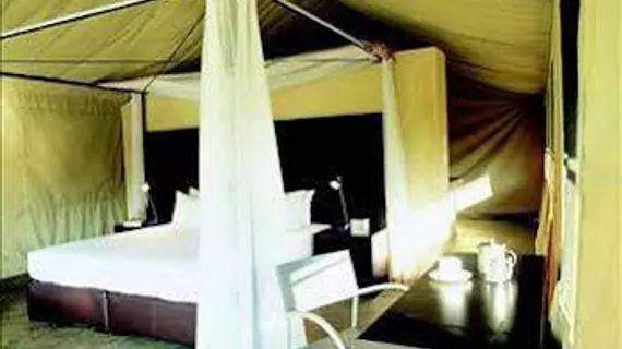 Honeyguide Tented Safari Camps | Mpumalanga - Mbombela - Kruger National Park