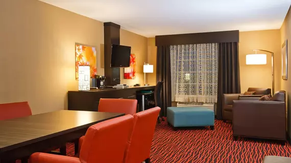 Holiday Inn Colorado Springs - Airport | Kolorado - Colorado Springs (ve civarı) - Colorado Springs