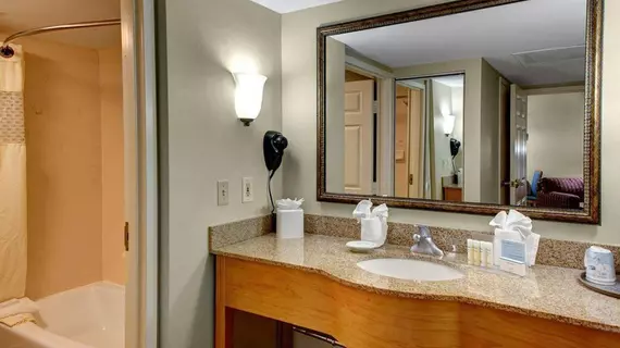 Hampton Inn & Suites Atlanta/Duluth/Gwinnett | Georgia - Atlanta (ve civarı) - Duluth