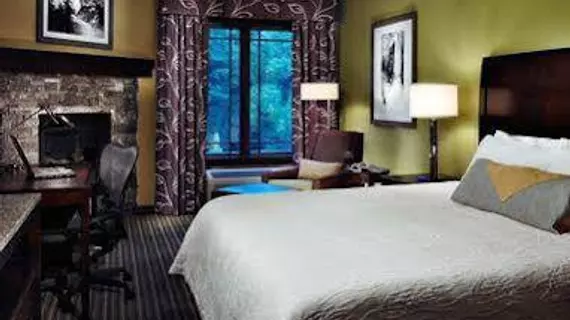 HILTON GARDEN INN GATLINBURG | Tennessee - Gatlinburg - Pigeon Forge (ve civarı) - Gatlinburg