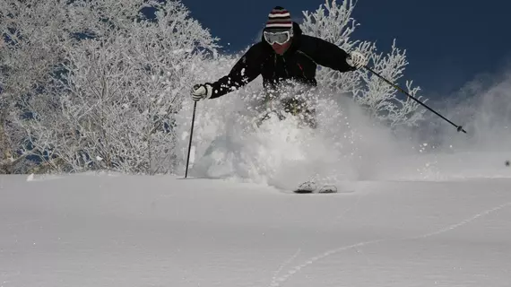 The Green Leaf, Niseko Village | Hokkaido - Abuta - Niseko (ve civarı) - Niseko - Annupuri