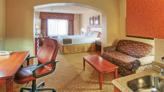 Holiday Inn Express Hotel & Suites Las Cruces | New Mexico - Las Cruces (ve civarı) - Las Cruces