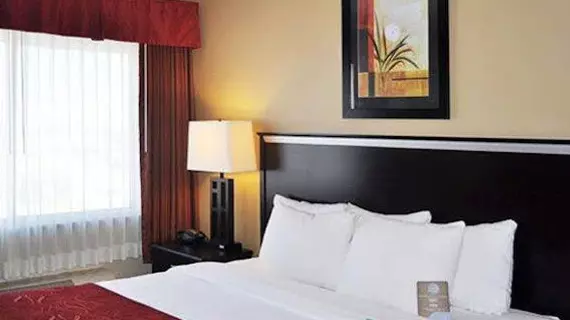 Comfort Suites Denver Tech Center/Englewood | Kolorado - Denver (ve civarı) - Englewood