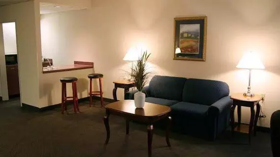 Hampton Inn Springfield-South | Missouri - Springfield (ve civarı) - Springfield