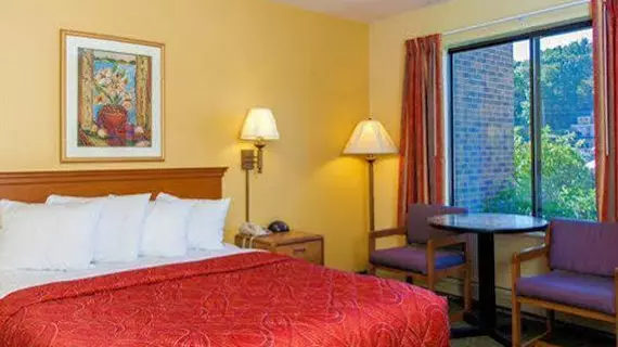 Econo Lodge Rochester | Minnesota - Rochester (ve civarı) - Rochester