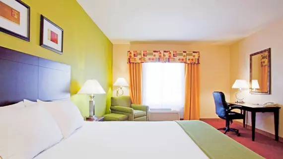 Holiday Inn Express Hotel & Suites Minden | Nevada - Carson City (ve civarı) - Minden