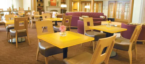 La Quinta Inn and Suites Austin Airport | Teksas - Austin (ve civarı) - Austin