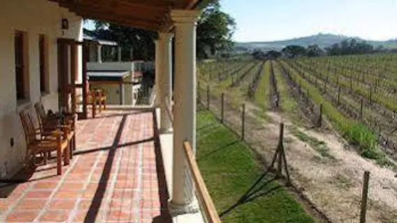 Lovane Boutique Wine Estate | Western Cape (il) - West Coast DC - Drakenstein - Cape Town (ve civarı) - Stellenbosch