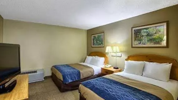 Econo Lodge Inn and Suites Beach Front Central | Güney Karolayna - Myrtle Plajı (ve civarı) - Myrtle Beach