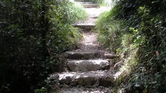 Colle dell'Ara | Campania - Salerno (il) - Positano