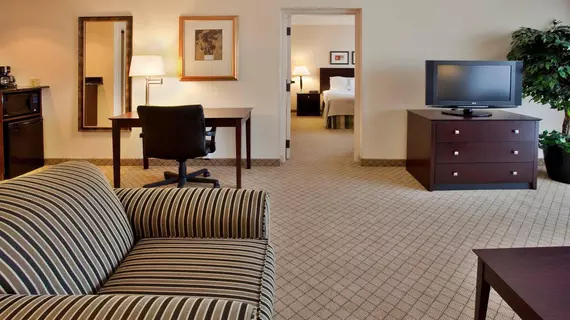 Holiday Inn Hotel & Suites Springfield | Missouri - Springfield (ve civarı) - Springfield