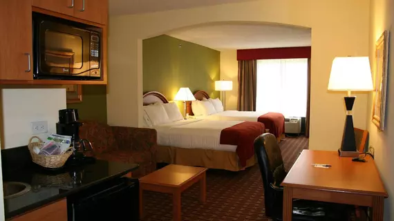 Holiday Inn Express Hotel & Suites Tampa-Anderson Road-Veterans Exp | Florida - Tampa (ve civarı) - Tampa