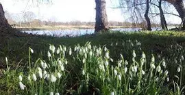 Riverside House B&B | Cambridgeshire (ilçe) - Huntingdon - Hemingford Abbots