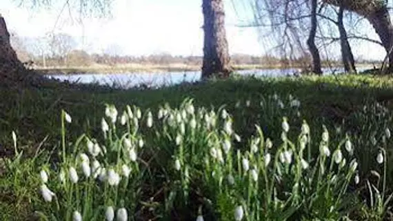 Riverside House B&B | Cambridgeshire (ilçe) - Huntingdon - Hemingford Abbots