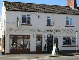 The Sycamore Tree | Cumbria (kontluk) - Carlisle