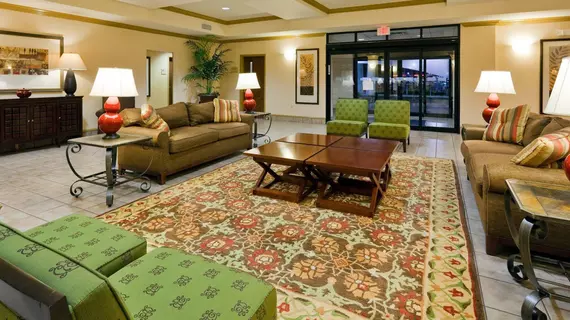 Holiday Inn Express Hotel & Suites Pell City | Alabama - Oxford (ve civarı) - Pell City