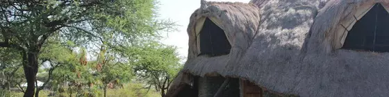 Mapito Tented Camp | Serengeti Ulusal Parkı