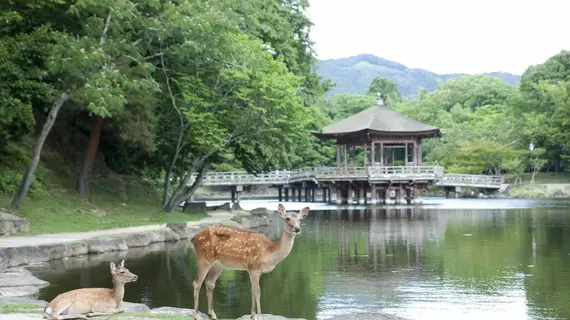 Noborioji Hotel | Nara (idari bölge) - Nara (ve civarı) - Nara