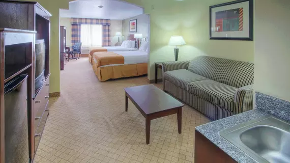 Holiday Inn Express & Suites Alamogordo Highway 54/70 | New Mexico - Alamogordo (ve civarı) - Alamogordo