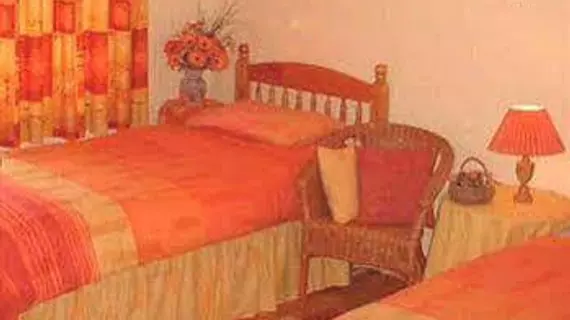 Ashleigh House B&B | Waterford (kontluk) - Waterford