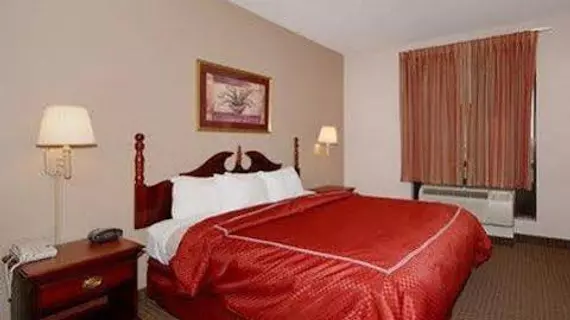 Comfort Suites Houston | Teksas - Houston (ve civarı) - Houston