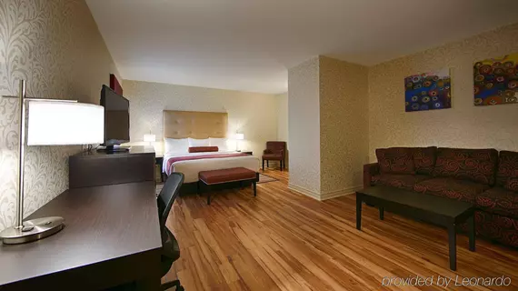 Best Western Plus Montreal Downtown- Hotel Europa | Quebec - Montreal (ve civarı) - Montreal - Golden Square Mile