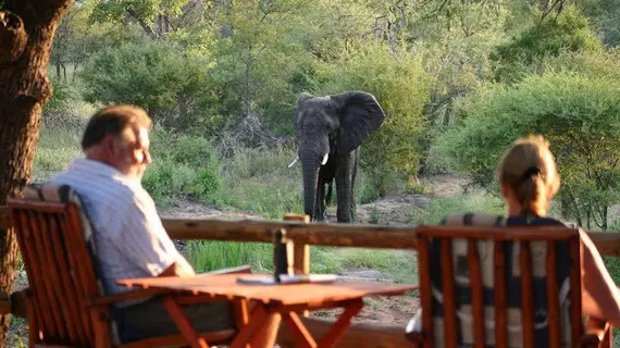 Amukela Game Lodge | Limpopo - Maruleng - Hoedspruit