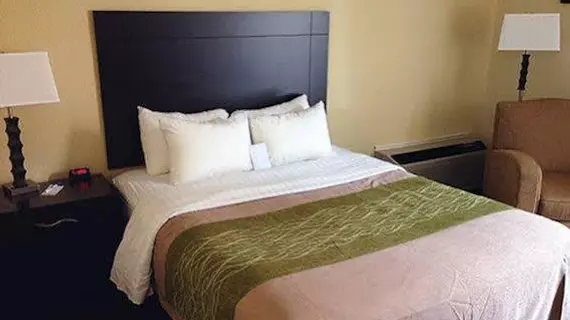 Comfort Inn West Little Rock | Arkansas - Little Rock (ve civarı) - Little Rock