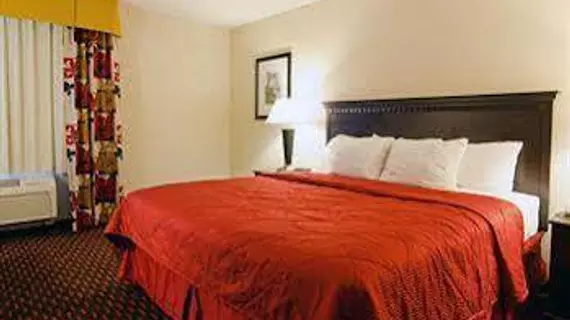 Comfort Inn Annapolis | Maryland - Annapolis (ve civarı) - Annapolis