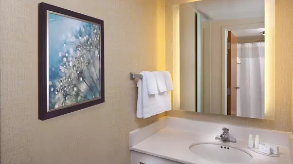 SpringHill Suites Orlando Lake Buena Vista in Marriott Village | Florida - Orlando (ve civarı) - International Drive South Turizm Bölgesi