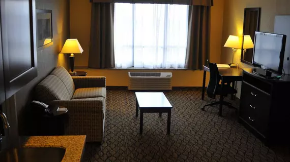 Holiday Inn Airport West Earth City | Missouri - St. Louis (ve civarı) - Earth City