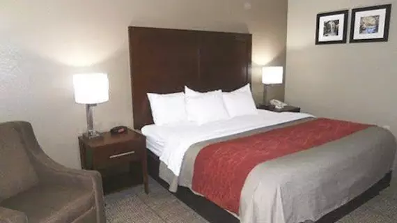 Comfort Inn Grain Valley | Missouri - Kansas City (ve civarı) - Grain Valley