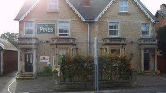 The Pines Guest Accommodation | Wiltshire (kontluk) - Chippenham