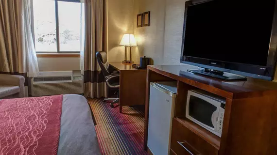 Comfort Inn Fairfield | New Jersey - Washington Township - Parsippany (ve civarı) - Fairfield