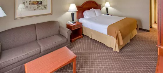 Holiday Inn Express Cedar Rapids (Collins Road) | Iowa - Cedar Rapids - Iowa City (ve civarı) - Cedar Rapids