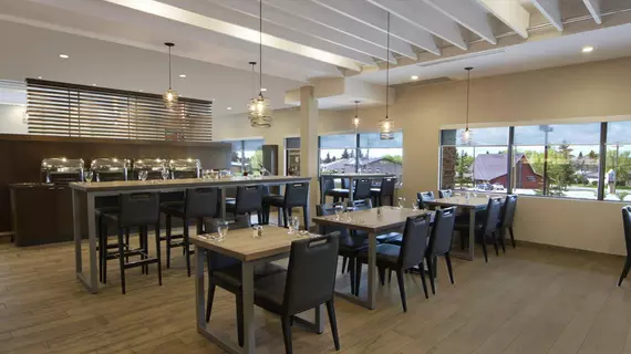 Holiday Inn Calgary Airport | Alberta - Calgary (ve civarı) - Calgary