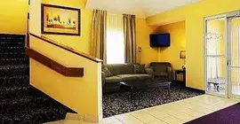 Sleep Inn Springfield | İllinois - Springfield (ve civarı) - Springfield