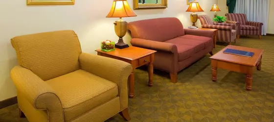 Holiday Inn Express Hotel & Suites Elkins | Batı Virginia - Elkins