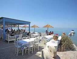 Delfini Hotel | Girit Adası - Rethimnon (bölge) - Rethimnon