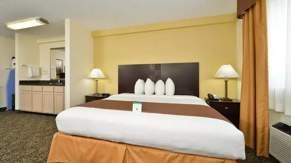 Best Western Elyria | Ohio - Cleveland (ve civarı) - Elyria