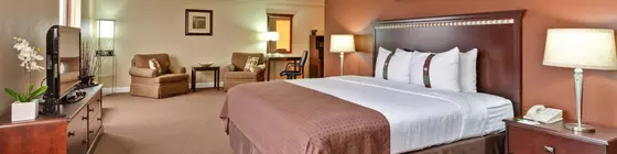 Holiday Inn Chicago - Countryside/LaGrange | İllinois - Countryside